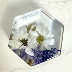 Resin Hexagon Paperweight